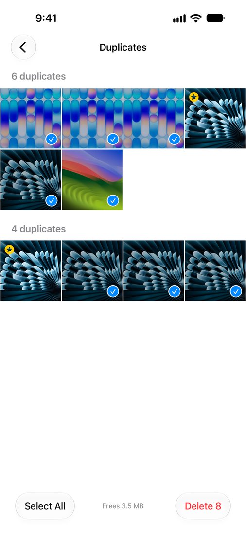 Duplicate photos grouped with the best one kept
